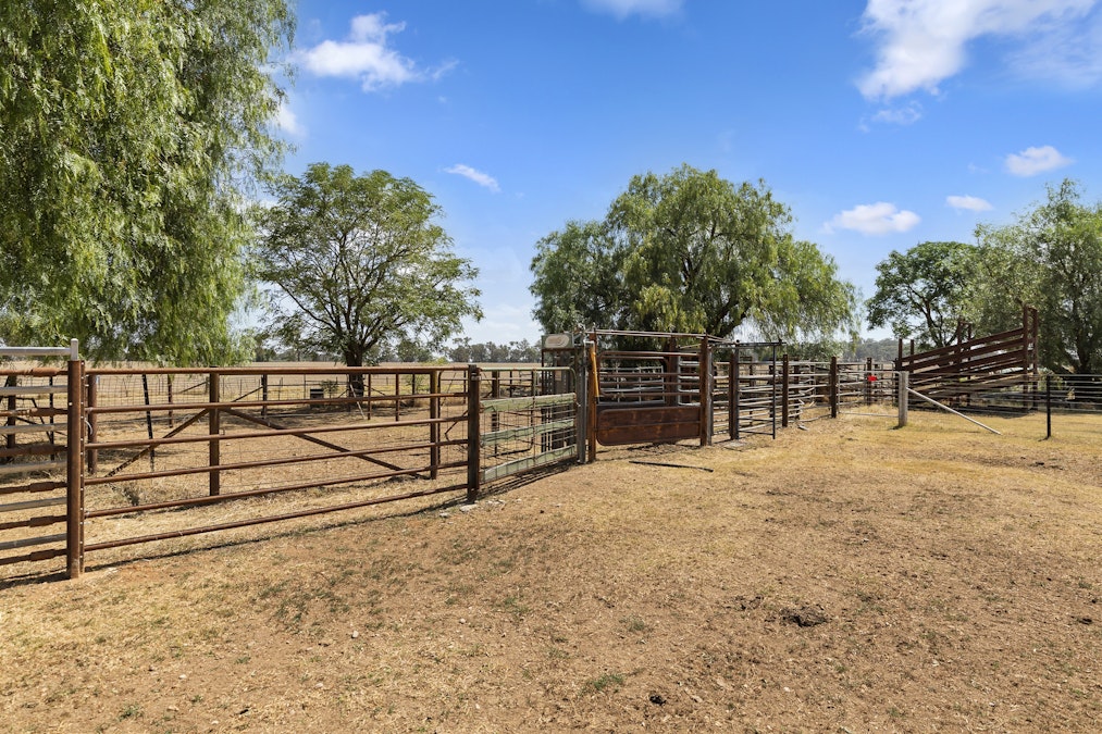 1613 Great Alpine Road, Tarrawingee, VIC, 3678 - Image 16