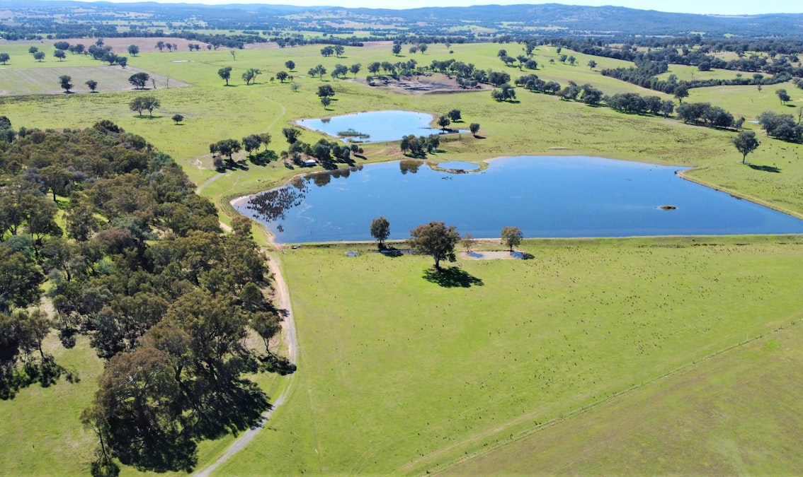 1613 Great Alpine Road, Tarrawingee, VIC, 3678 - Image 21