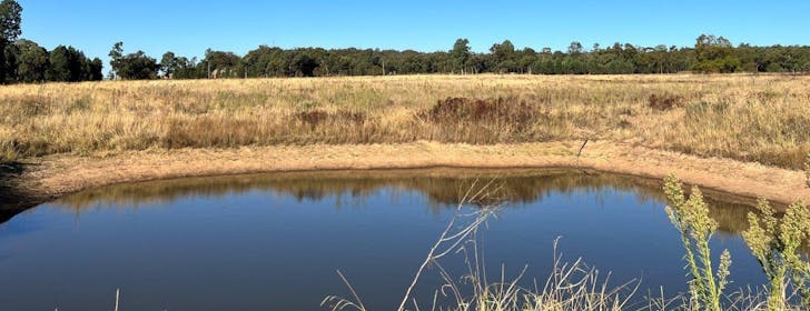 501 Elong Elong Road, Elong Elong, NSW, 2831 - Image 1