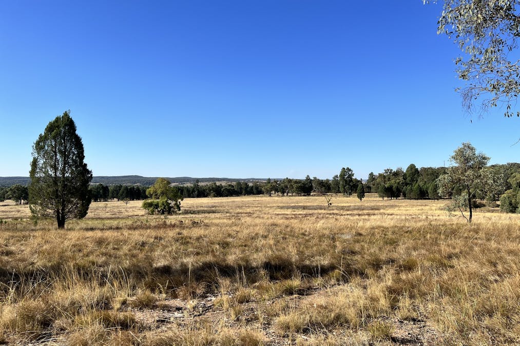 501 Elong Elong Road, Elong Elong, NSW, 2831 - Image 11