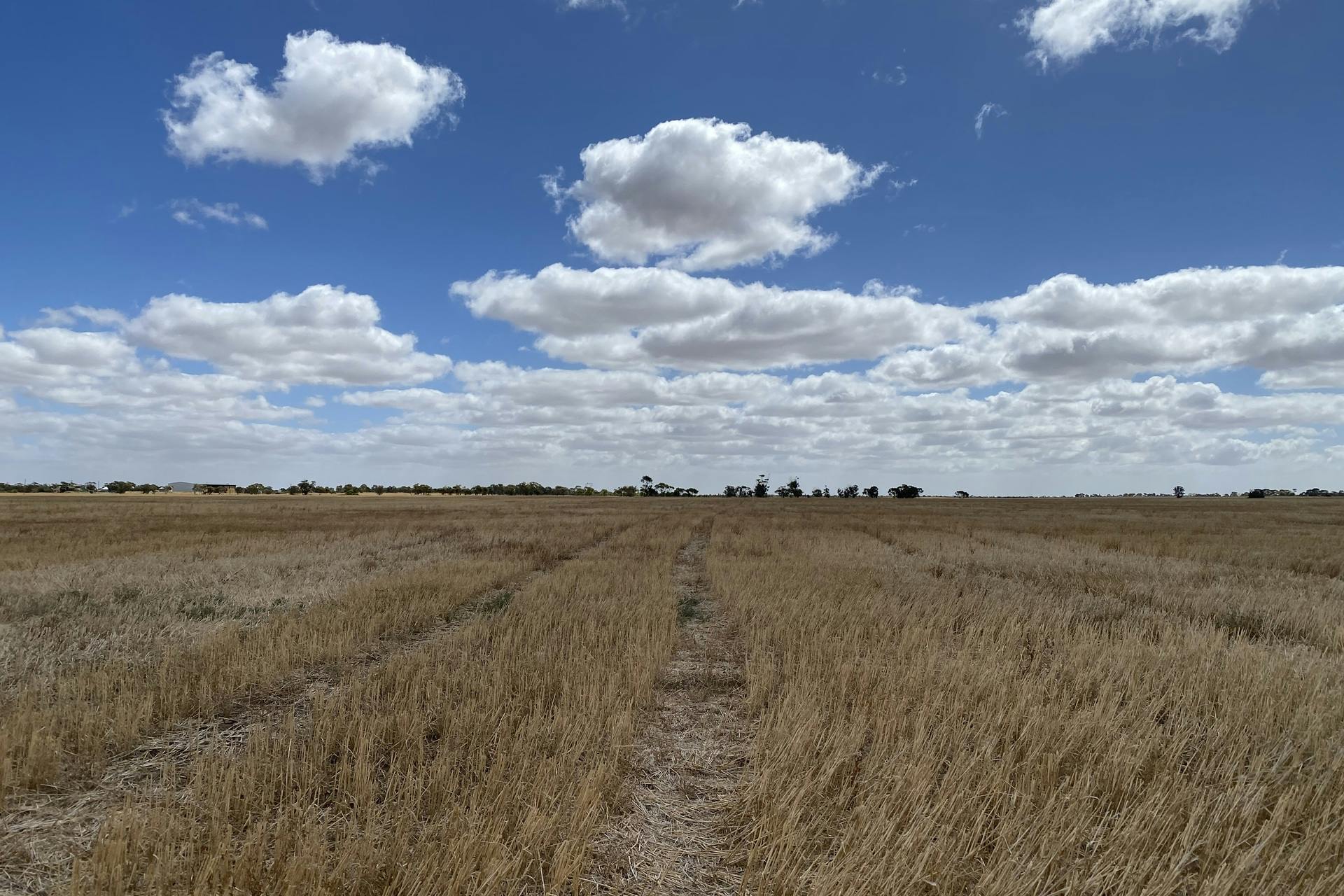 187 Rupanyup Road, Bangerang, VIC, 3393 Sold Elders Real Estate