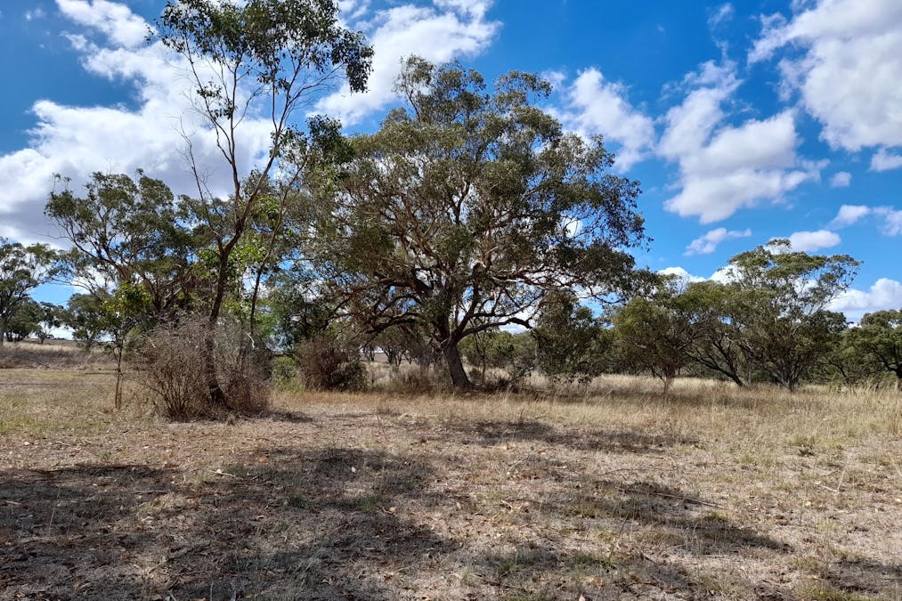 3 BLAYDON Street, Bunnan, NSW, 2337 - Image 3