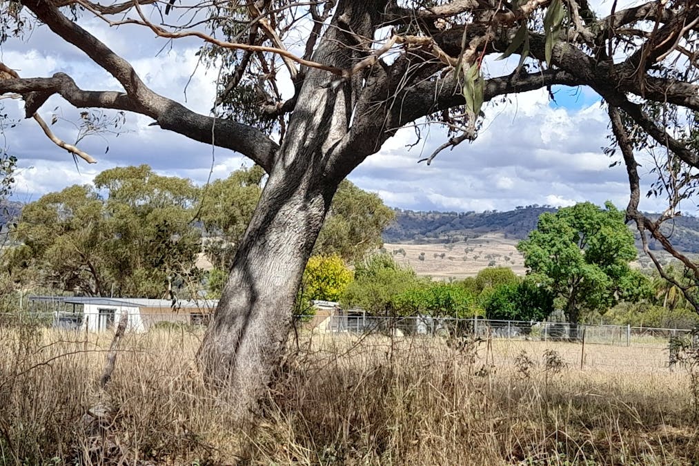 3 BLAYDON Street, Bunnan, NSW, 2337 - Image 6
