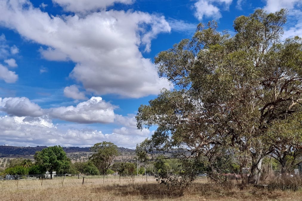 3 BLAYDON Street, Bunnan, NSW, 2337 - Image 12
