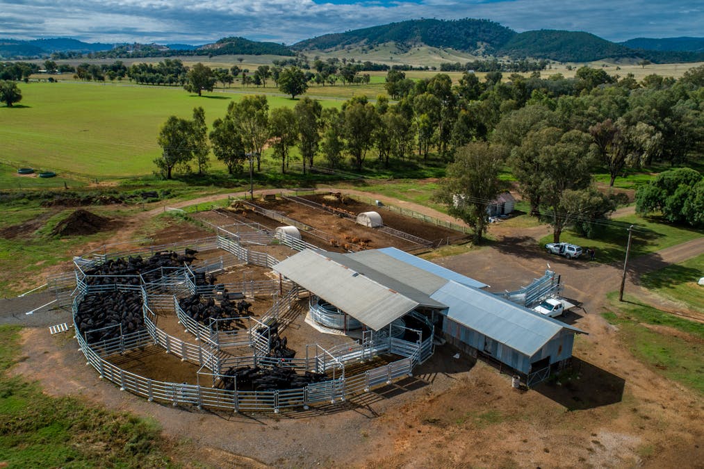 1903 Manilla Road, Attunga, NSW, 2345 - Image 14