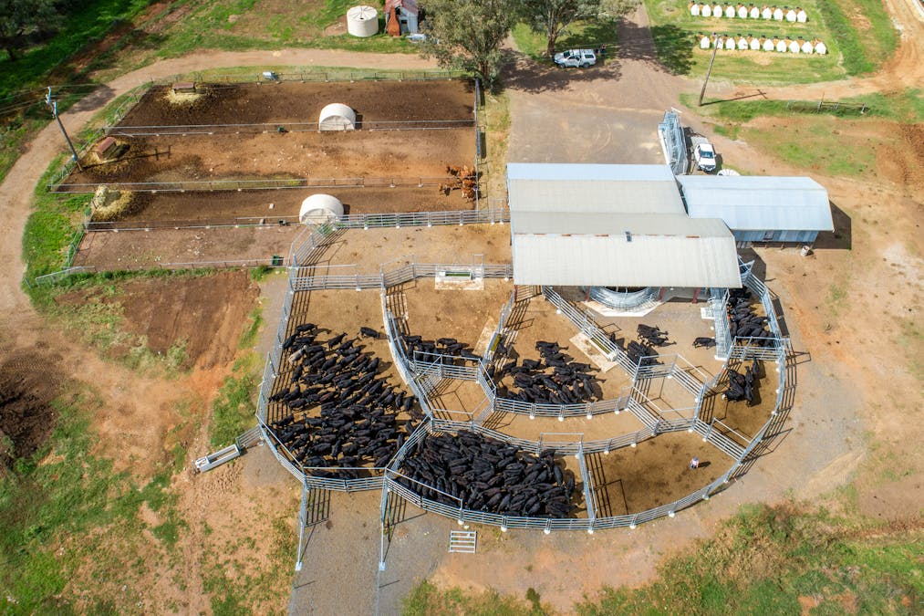 1903 Manilla Road, Attunga, NSW, 2345 - Image 15