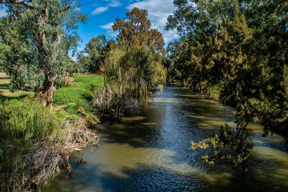 1903 Manilla Road, Attunga, NSW, 2345 - Image 22
