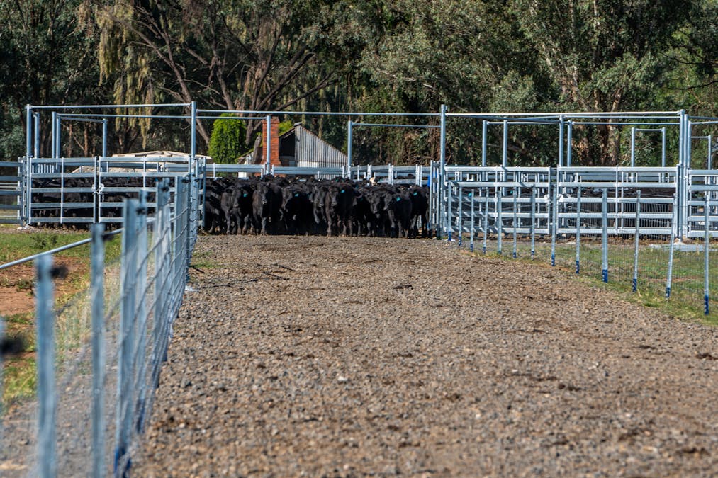 1903 Manilla Road, Attunga, NSW, 2345 - Image 19