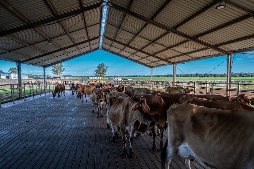 1903 Manilla Road, Attunga, NSW, 2345 - Image 11