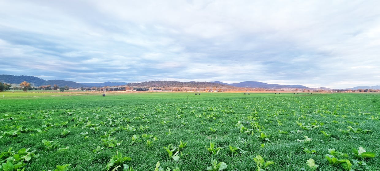 1903 Manilla Road, Attunga, NSW, 2345 - Image 28