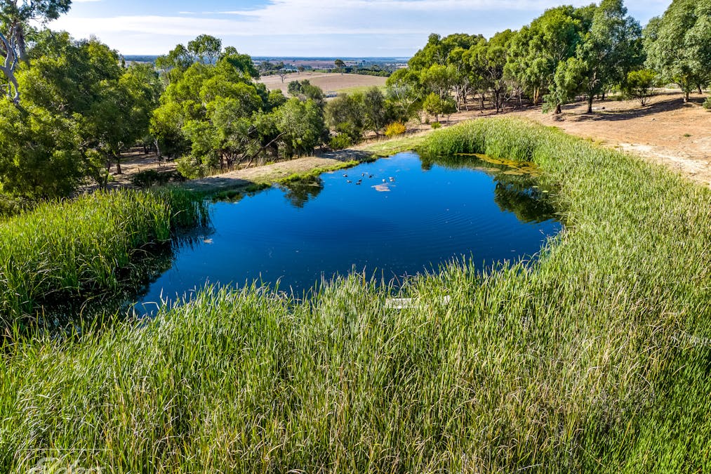 278 Braeside Road, Finniss, SA, 5255 - Image 33