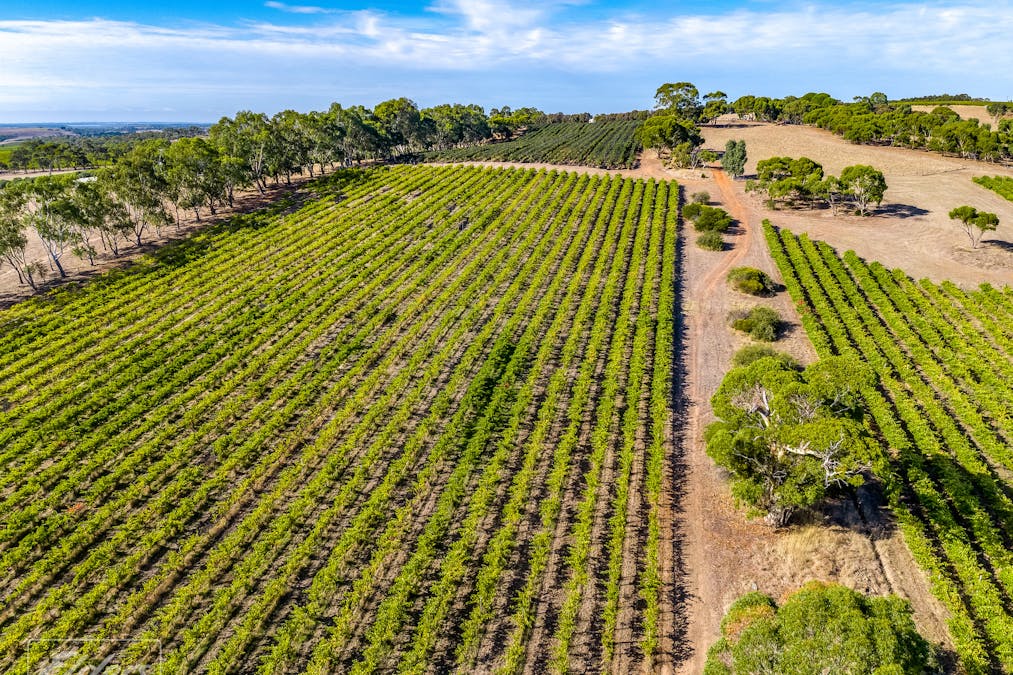 278 Braeside Road, Finniss, SA, 5255 - Image 32