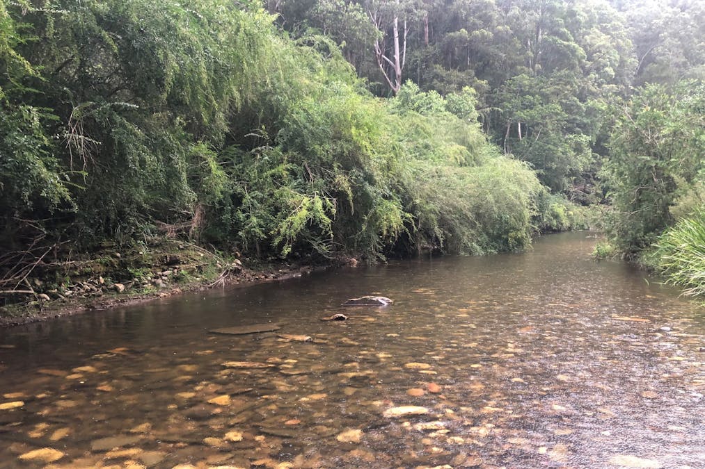 2558 Kalang Road, Kalang, NSW, 2454 - Image 12