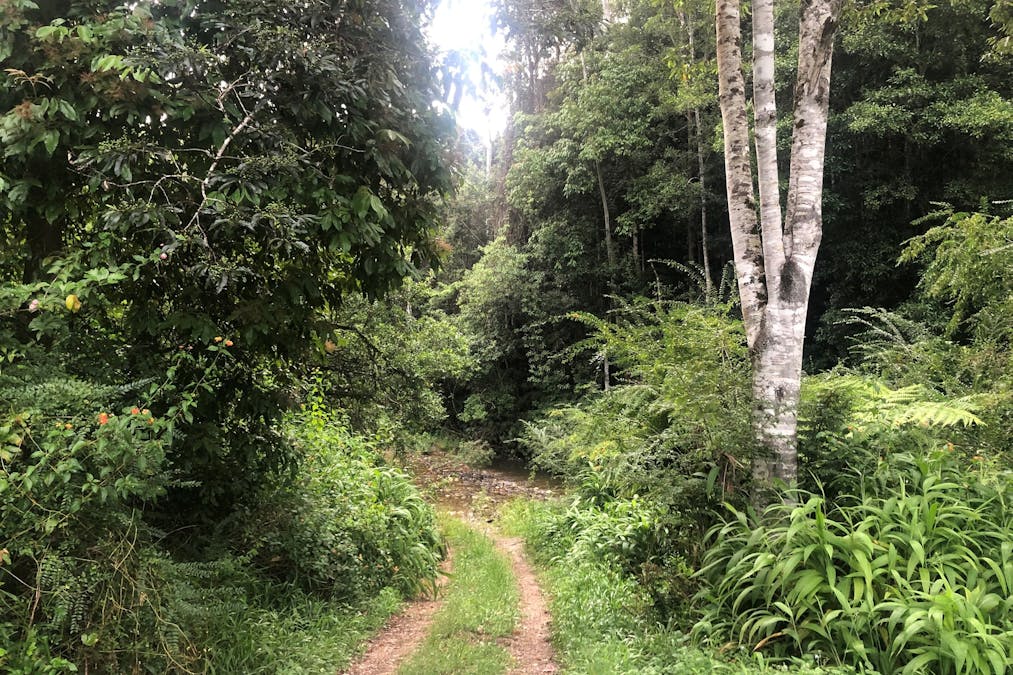 2558 Kalang Road, Kalang, NSW, 2454 - Image 10