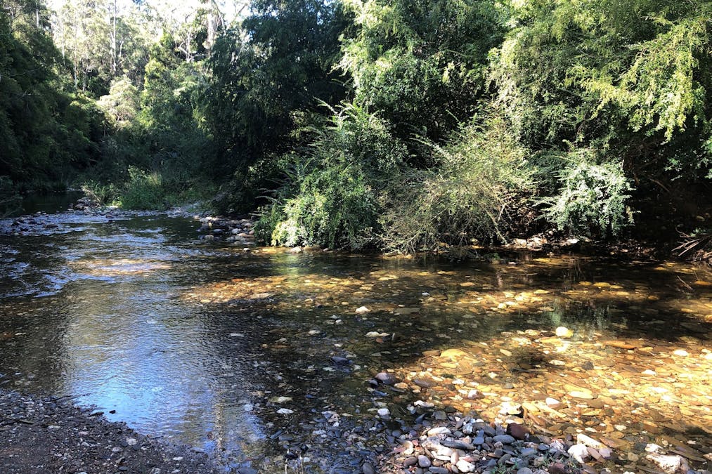2558 Kalang Road, Kalang, NSW, 2454 - Image 13