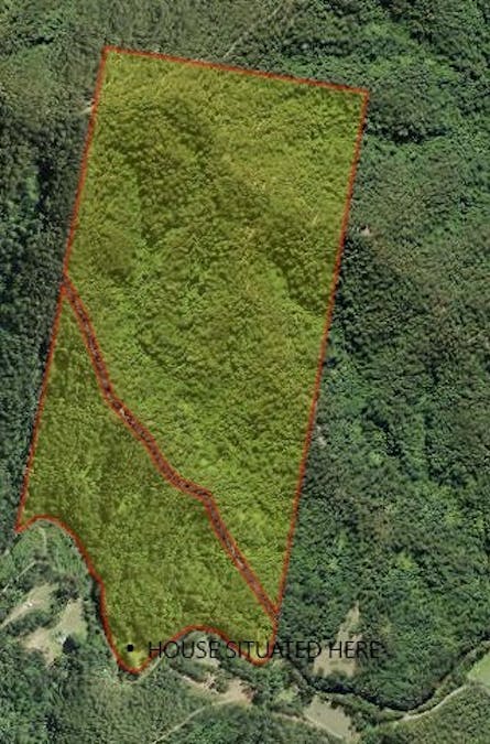 2558 Kalang Road, Kalang, NSW, 2454 - Image 14