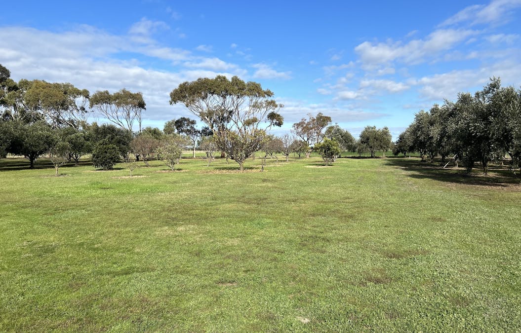 1359 Lincoln Highway, North Shields, SA, 5607 - Image 26