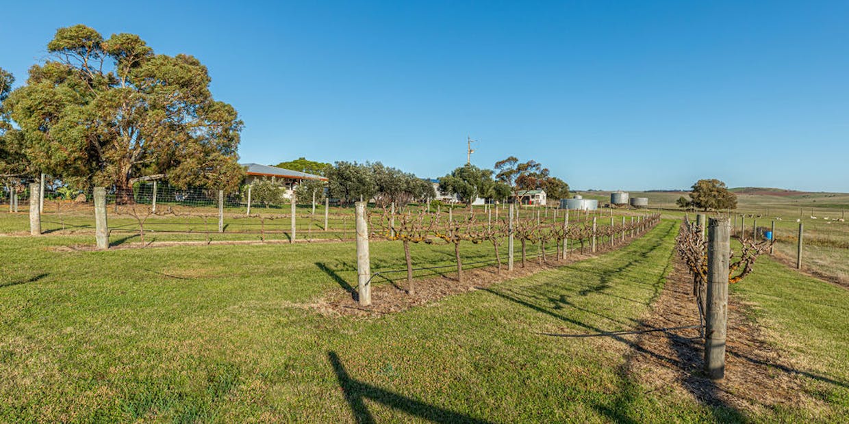1359 Lincoln Highway, North Shields, SA, 5607 - Image 27