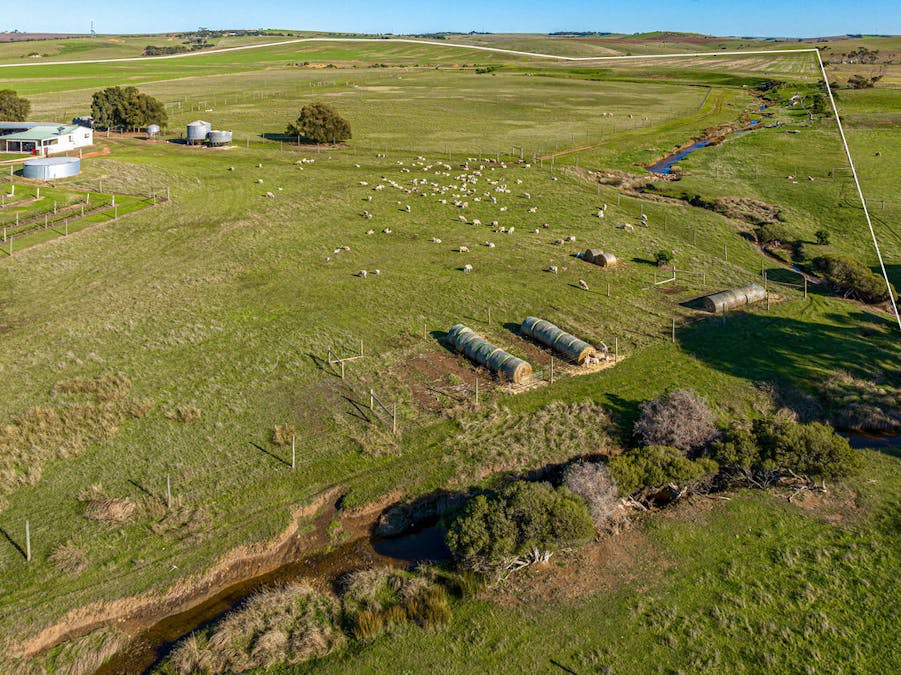 1359 Lincoln Highway, North Shields, SA, 5607 - Image 4