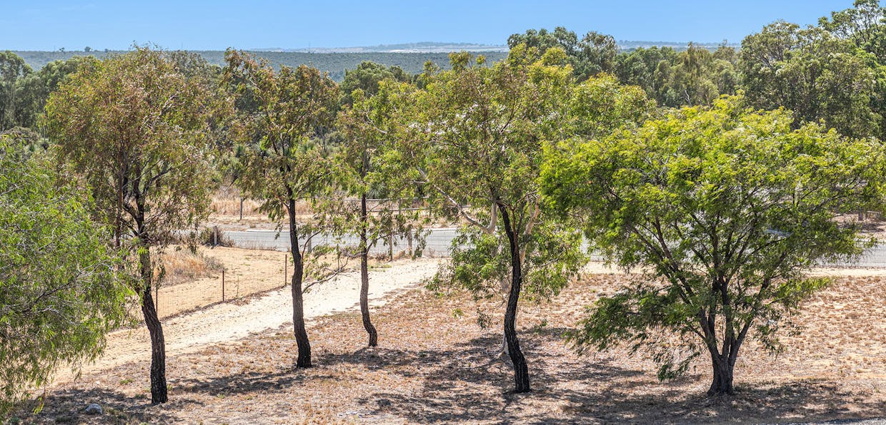 199 Sovereign Hill Drive, Gabbadah, WA, 6041 - Image 23