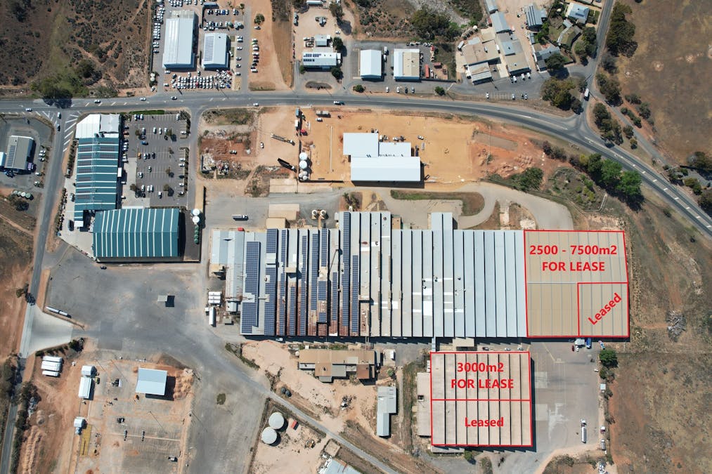 Lot 21 Hoskin Road, Berri, SA, 5343 - Image 2