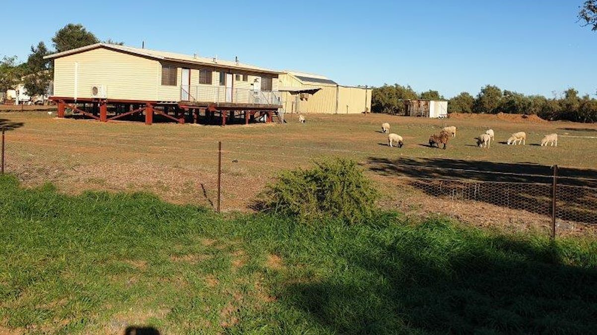983 North West Coastal Highway, Carnarvon, WA, 6701 - Image 1