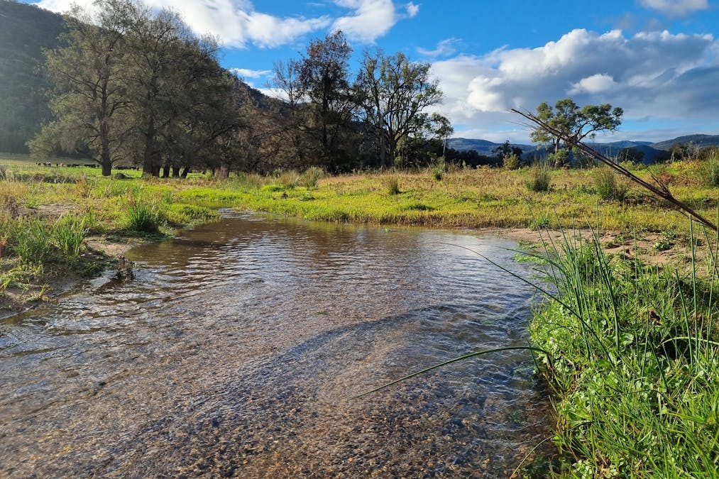 Woonooka Road, Tamworth, NSW, 2340 - Image 7