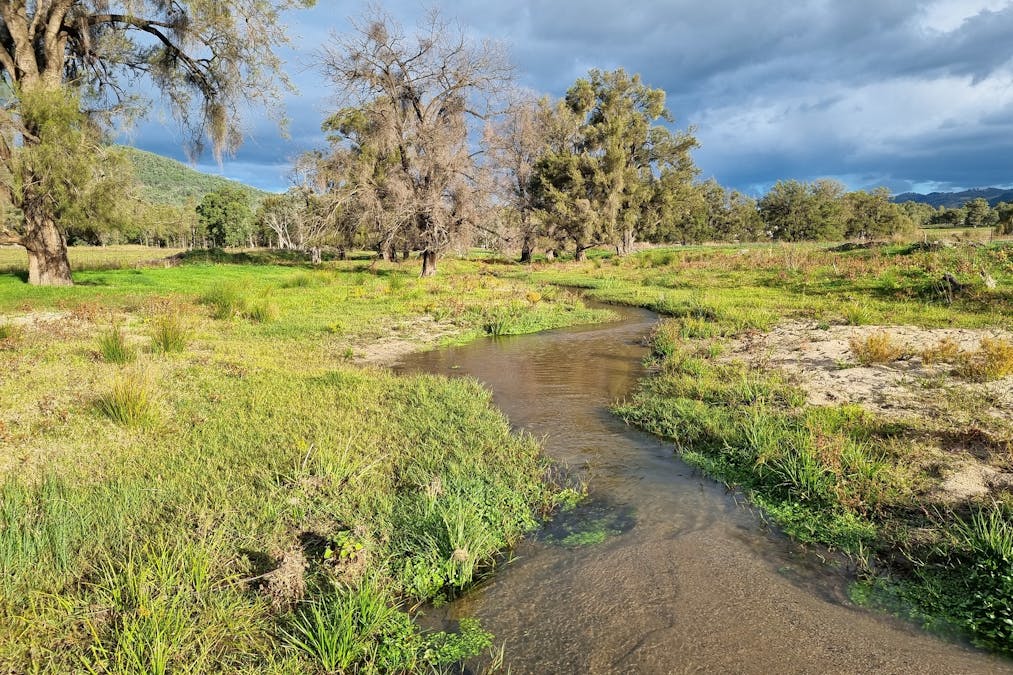 Woonooka Road, Tamworth, NSW, 2340 - Image 8