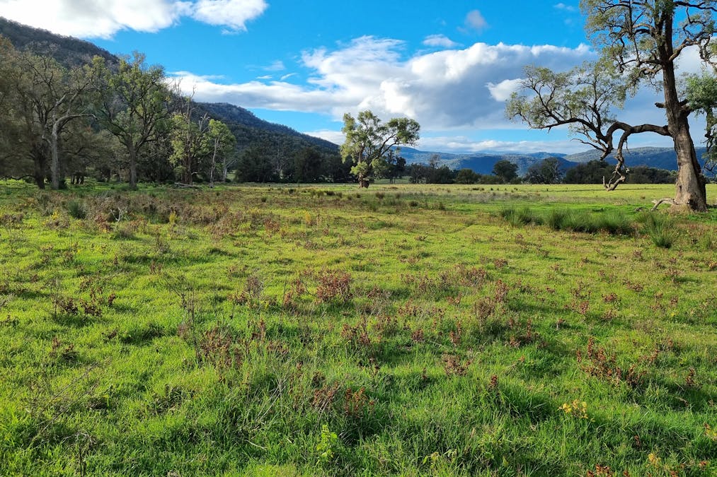 Woonooka Road, Tamworth, NSW, 2340 - Image 9