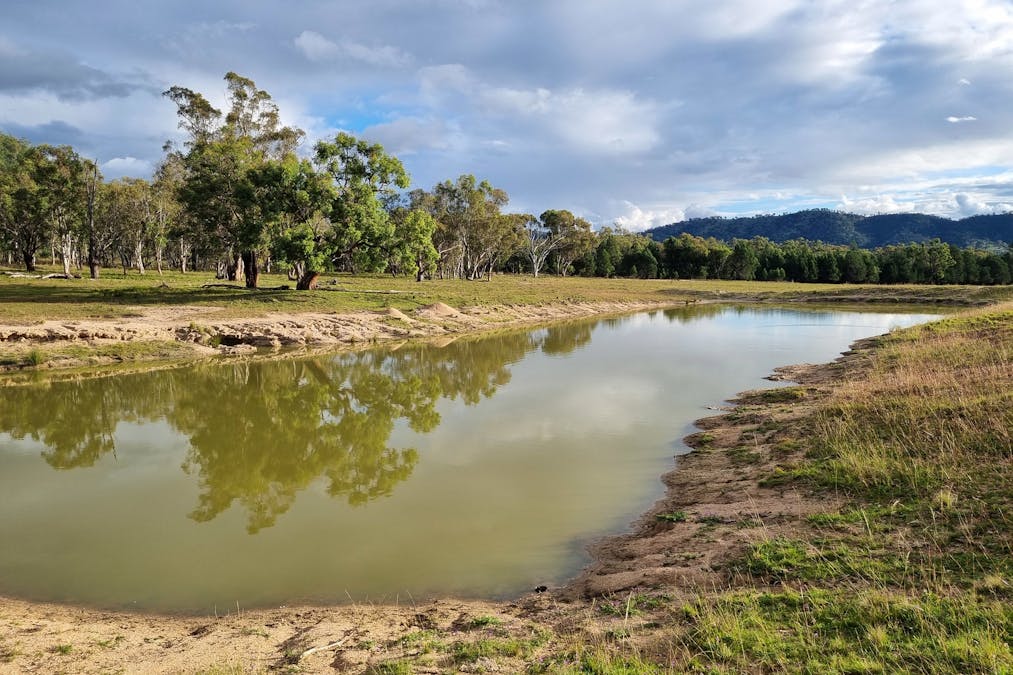 Woonooka Road, Tamworth, NSW, 2340 - Image 10