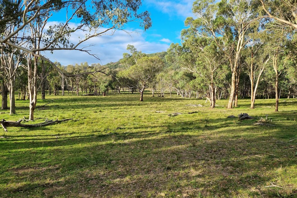 Woonooka Road, Tamworth, NSW, 2340 - Image 12