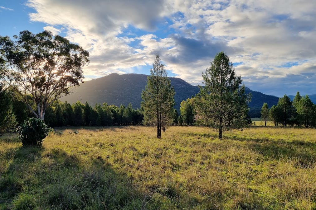 Woonooka Road, Tamworth, NSW, 2340 - Image 13