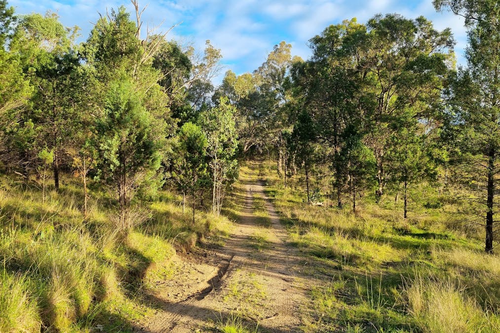 Woonooka Road, Tamworth, NSW, 2340 - Image 14