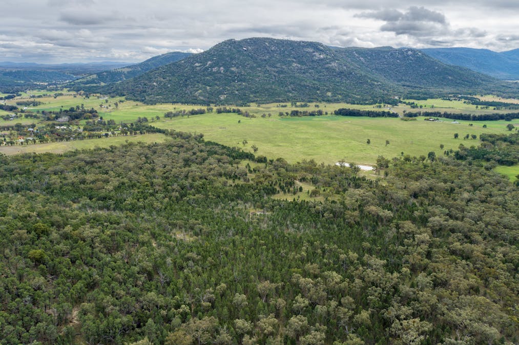Woonooka Road, Tamworth, NSW, 2340 - Image 15