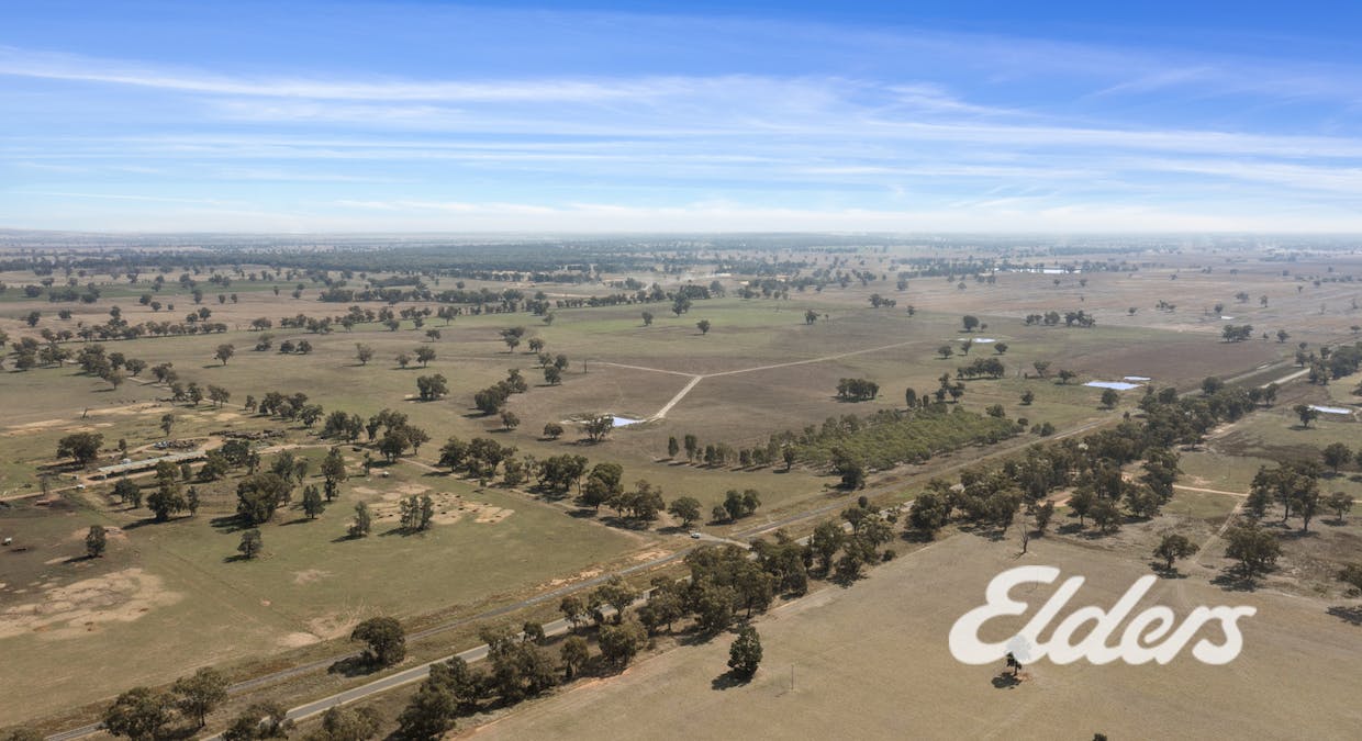 Savernake Road, Mulwala, NSW, 2647 - Image 4