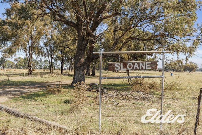 Savernake Road, Mulwala, NSW, 2647 - Image 11