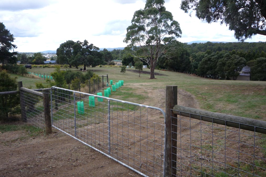  2/213 Relbia Road, Relbia, TAS, 7258 - Image 11