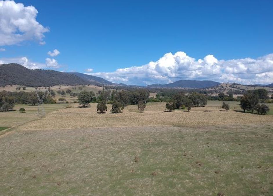 Lacmalac Road, Tumut, NSW, 2720 - Image 5