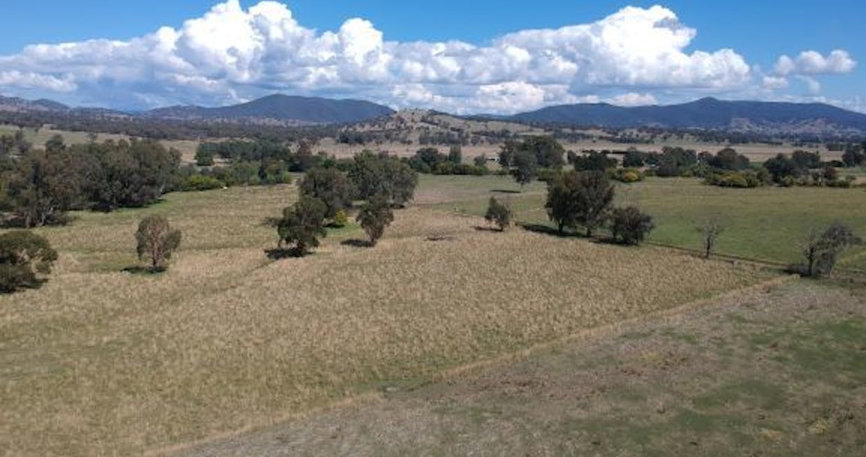 Lacmalac Road, Tumut, NSW, 2720 - Image 6