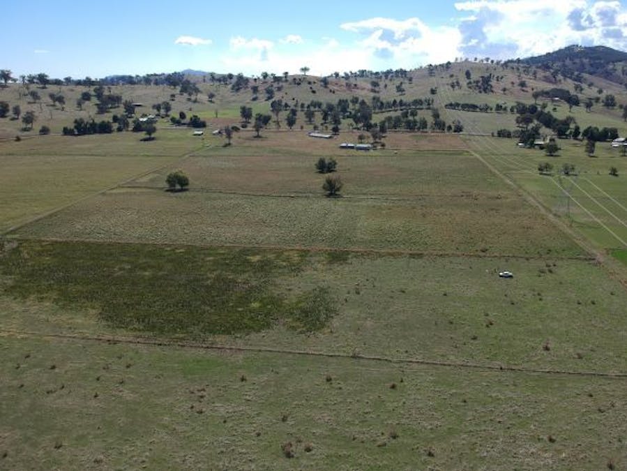 Lacmalac Road, Tumut, NSW, 2720 - Image 3