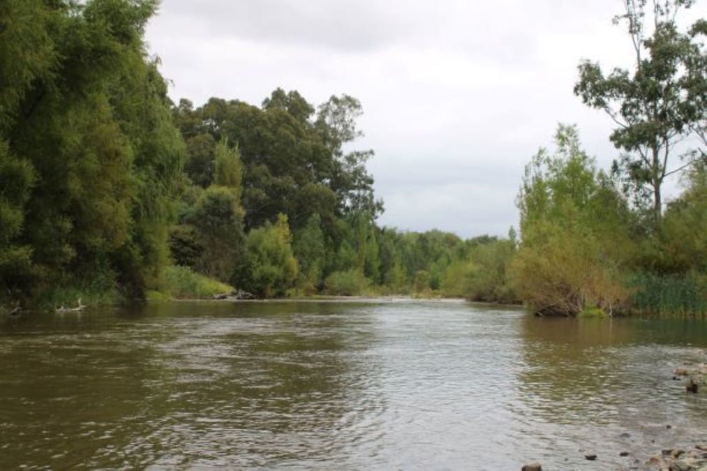 Lacmalac Road, Tumut, NSW, 2720 - Image 1