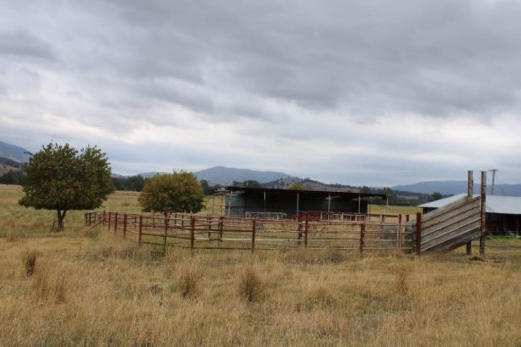 Lacmalac Road, Tumut, NSW, 2720 - Image 8