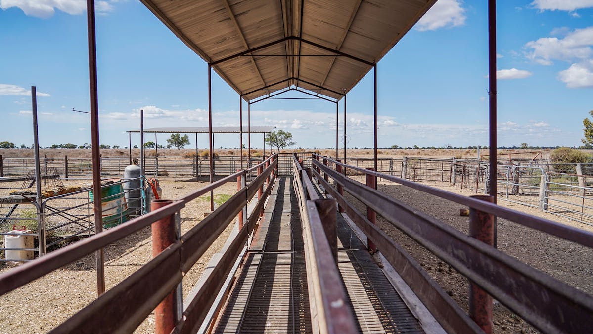 1892 Kensington Road, Coonamble, NSW, 2829 - Image 30
