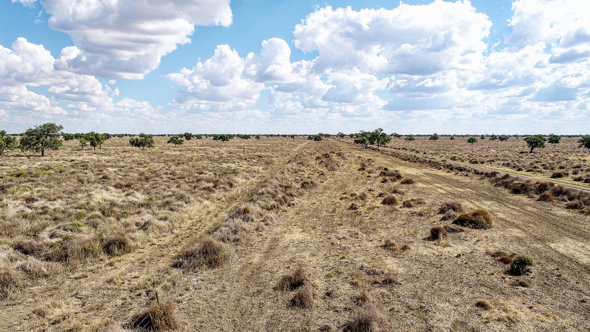 1892 Kensington Road, Coonamble, NSW, 2829 - Image 9