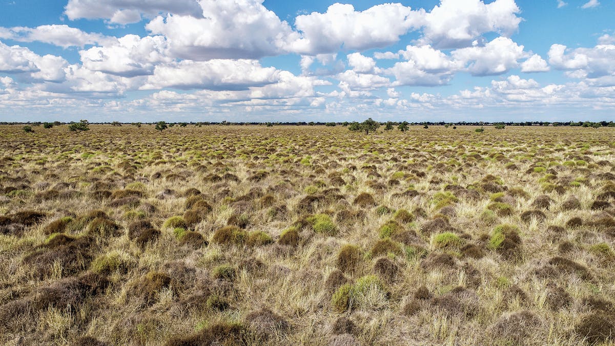 1892 Kensington Road, Coonamble, NSW, 2829 - Image 14