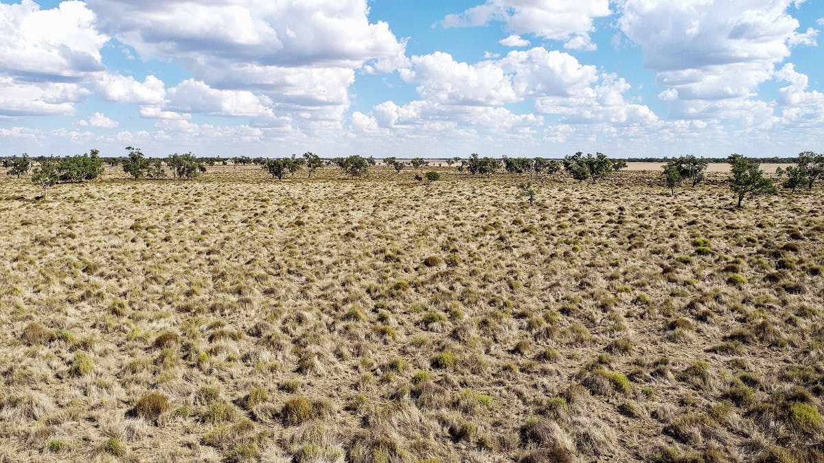 1892 Kensington Road, Coonamble, NSW, 2829 - Image 20