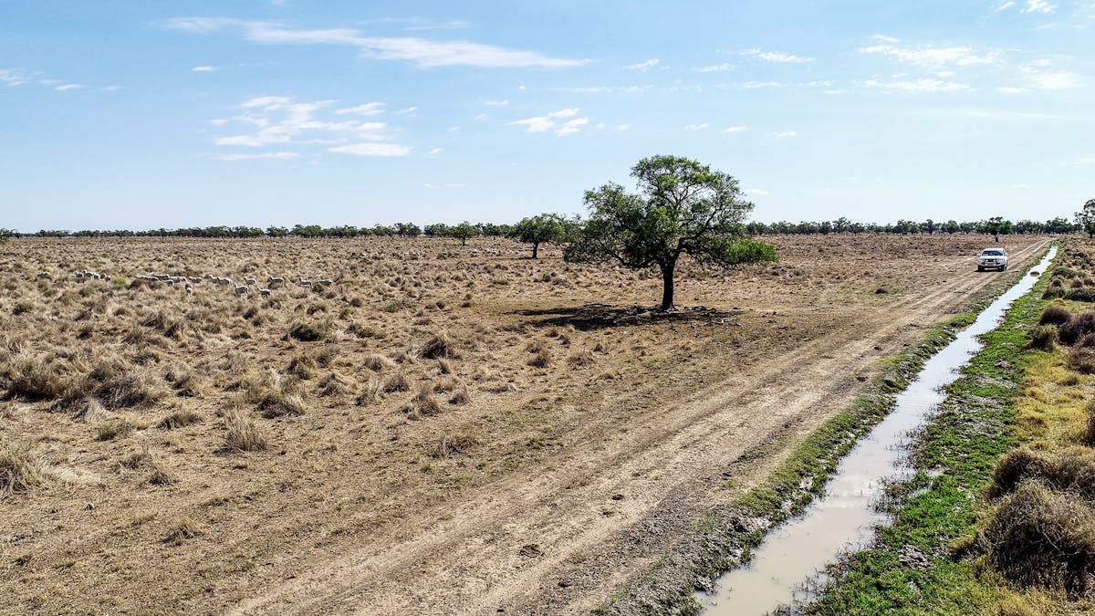 1892 Kensington Road, Coonamble, NSW, 2829 - Image 21