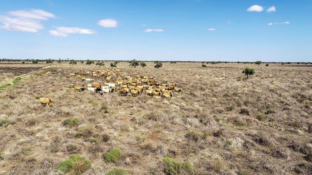 1892 Kensington Road, Coonamble, NSW, 2829 - Image 4