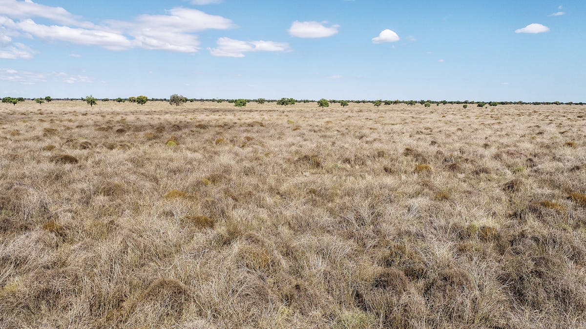 1892 Kensington Road, Coonamble, NSW, 2829 - Image 24