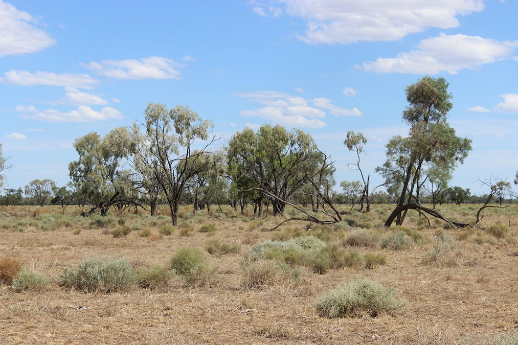 1892 Kensington Road, Coonamble, NSW, 2829 - Image 25